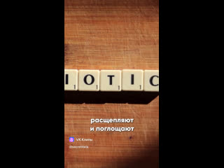 Видео от Нужное-чтоб не потерять