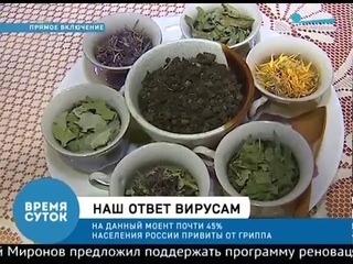 Янина Вайда в передаче Время суток