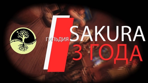 Guild Sakura День Рождения 3